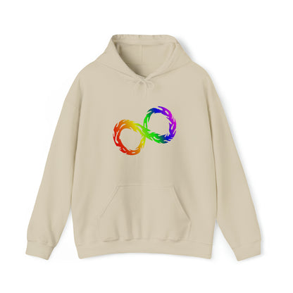 Rainbow Infinity Stylish Unisex Hoodie