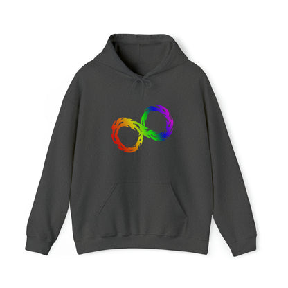 Rainbow Infinity Stylish Unisex Hoodie